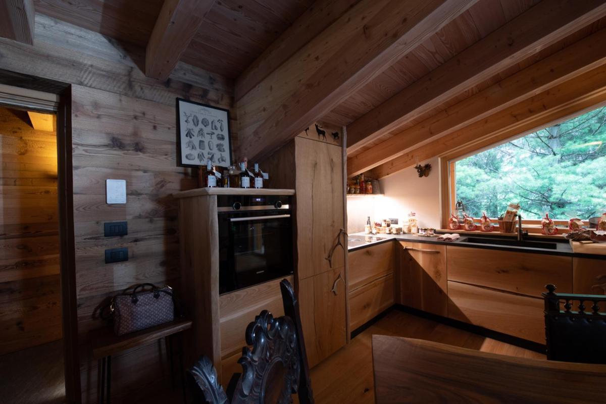 Chalet Degli Abeti By Ama Val Di Fassa Campitello di Fassa Zewnętrze zdjęcie